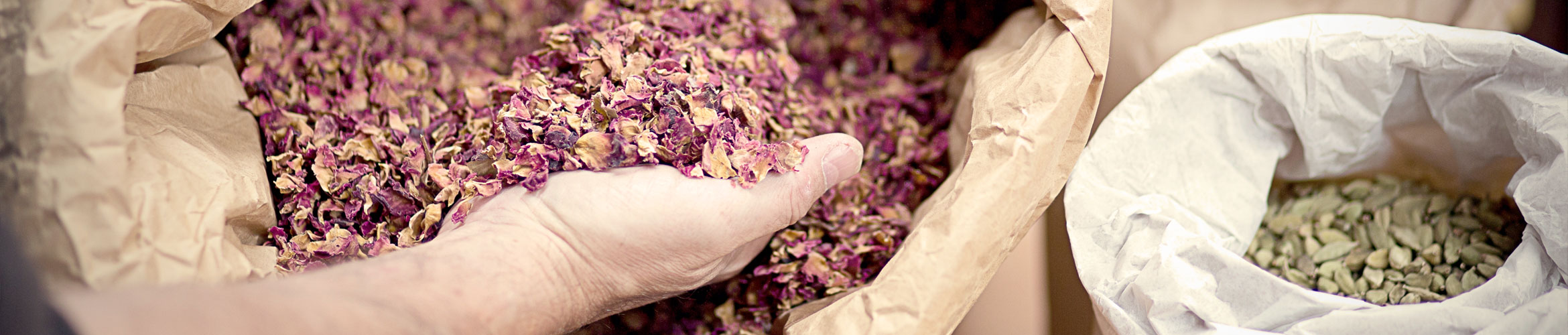 Heimischer Salbei, Sage und weißer Salbei