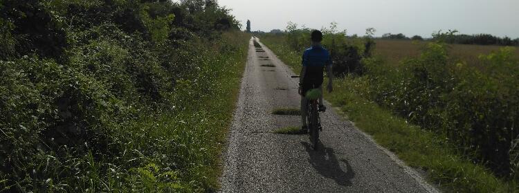 Radweg für Coole