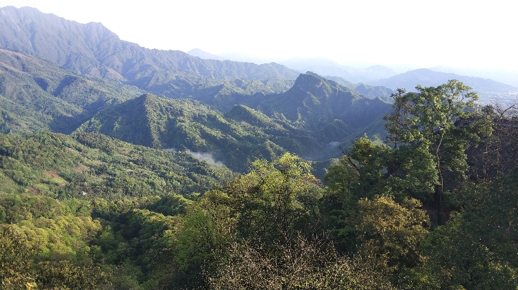 Qingcheng mountains Nationalpark