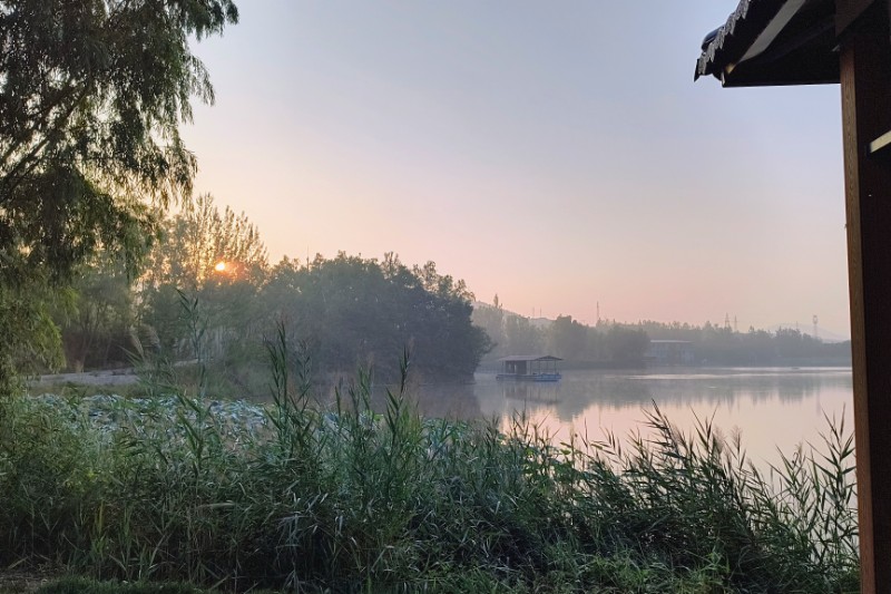 Morgenstimmung zum See