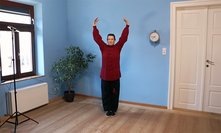 Qigong über Webinar Webinar